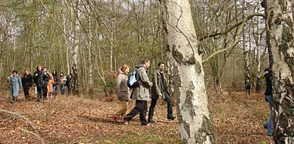 Stomping through Epping Forest